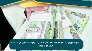تحديث اليوم.. سعر الدرهم الإماراتي مقابل الجنيه المصري في البنوك الأحد 14-9-2025